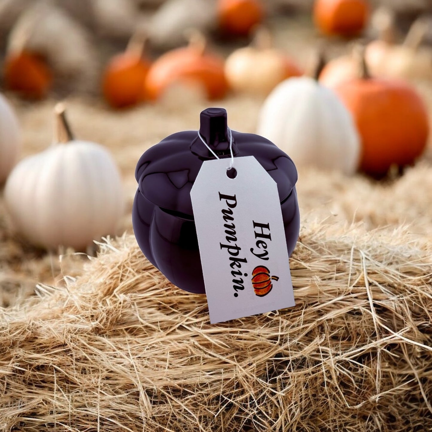 Hey Pumpkin ( Limited Edition)