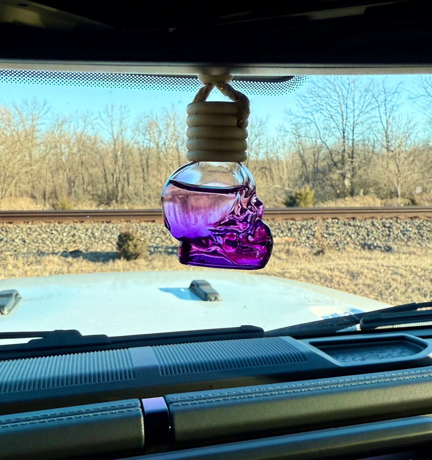 Sacred Fruit Car Diffuser