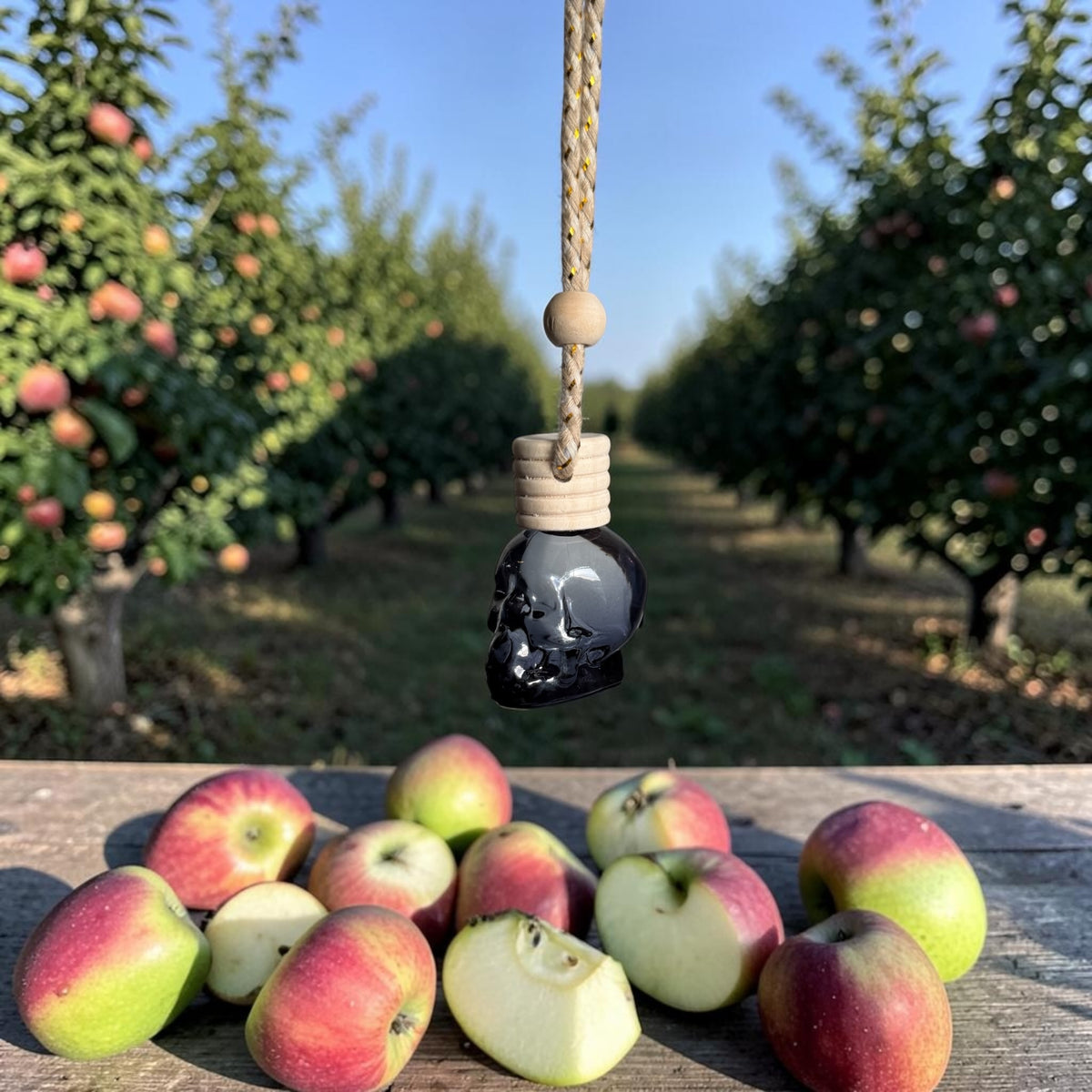 Autumn Orchard Car Diffuser